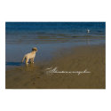 Adventure is everywhere... posters by dogsdogsdogsdogsdogs Adventure is everywhere... posters