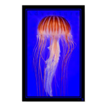 Adventure posters