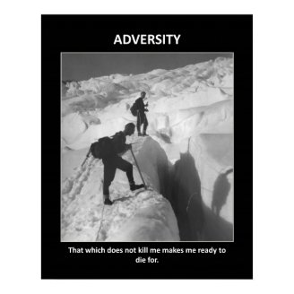 adversity-that-which-does-not-kill-me-makes-me posters