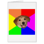 Advice Dog Cards