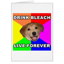 Advice Dog cards