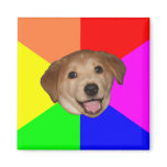 Advice Dog Magnets