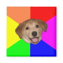 Advice Dog Magnets