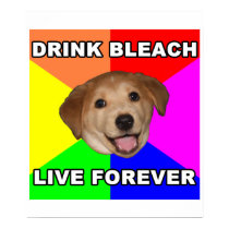 Advice Dog posters