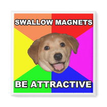 Advice Dog Swallow Magnets