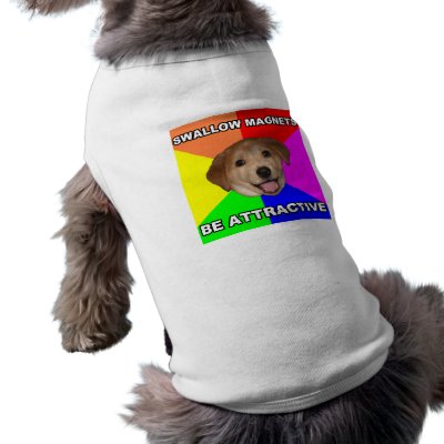 Advice Dog Swallow Magnets Dog T Shirt by MemeRegime