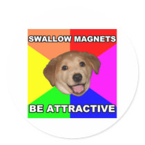 Advice Dog Swallow Magnets Stickers