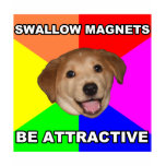Advice Dog Swallow Magnets