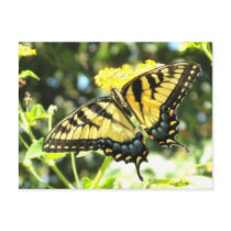 AE- Butterfly Postcards