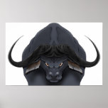 AE Cape Bull posters