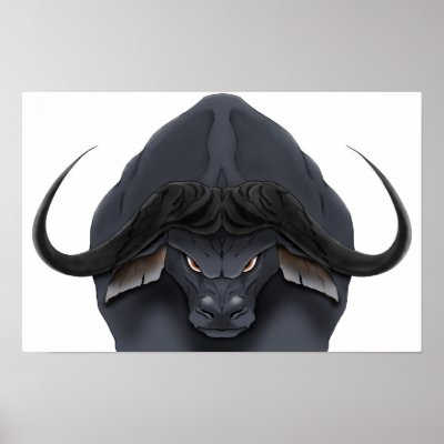 AE Cape Bull Print by arteternal