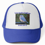 AE- Funny Bluebird of Hsppiness Hat