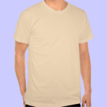 Aeneas & Anchises (light) t-shirts