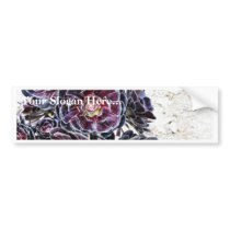 Aeonium Flower On Dry Rocks bumper stickers