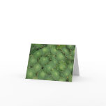 Aeonium tabuliforme Card