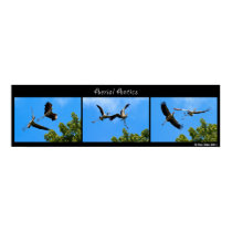 Aerial Antics posters