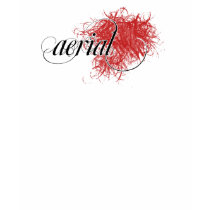 Aerial Men's T-shirt (logo)
