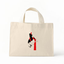 Aerial Silks Bag