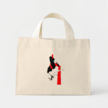 Aerial Silks Bag