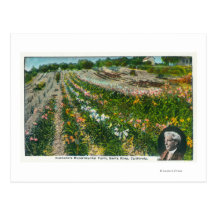 Aerial View of Burbanks Experimental Farm Postcard