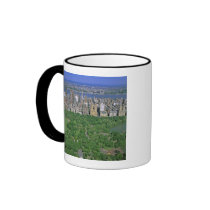 Aerial view of Central Park and the west side Mugs