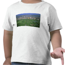 Aerial view of Central Park and the west side T Shirts