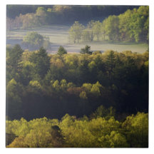 Aerial view of forest in Cades Cove, Great Smoky Ceramic Tiles