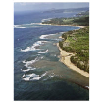Aerial View Of Hanalei Shore - Kauai Full Color Flyer
