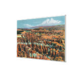 Aerial View of Park from Inspiration Point Gallery Wrapped Canvas