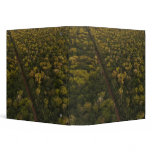 Aerial View of rainforest. Iwokrama Reserve, 2 binders