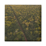Aerial View of rainforest. Iwokrama Reserve, 2 Magnet