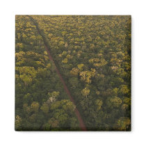 Aerial View of rainforest. Iwokrama Reserve, 2 Magnet