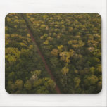 Aerial View of rainforest. Iwokrama Reserve, 2 Mouse Pads