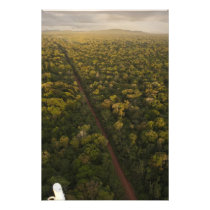 Aerial View of rainforest. Iwokrama Reserve, 2