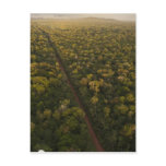 Aerial View of rainforest. Iwokrama Reserve, 2 Post Cards