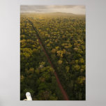 Aerial View of rainforest. Iwokrama Reserve, 2
