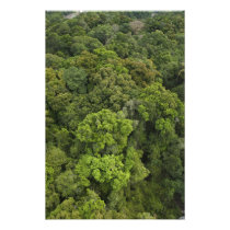 Aerial View of rainforest. Iwokrama Reserve,