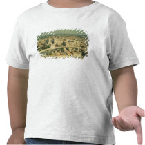 Aerial view of the Palace Shirt
