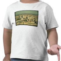 Aerial view of the Palace Tshirt
