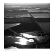 Aerials, Sacramento Valley, Rice fields, May, 1966 print