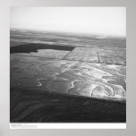 Aerials, Sacramento Valley, Rice fields, May, 1966 Posters
