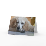 Aero-1 Greeting Cards