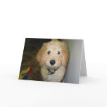 Aero 8 greeting cards