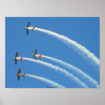 Aerobatic Picture Print