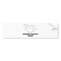 Aerobic Process Inside (Krebs Cycle) Bumper Sticker