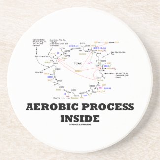 Aerobic Process Inside (Krebs Cycle) Coaster