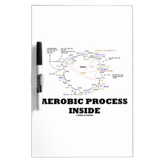 Aerobic Process Inside (Krebs Cycle) Dry Erase Whiteboards