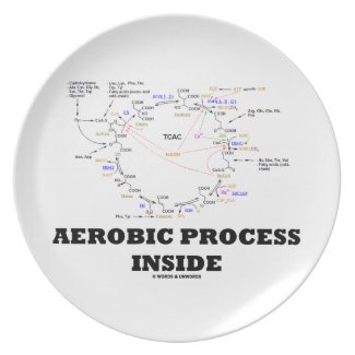 Aerobic Process Inside (Krebs Cycle) Plates
