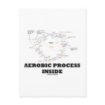 Aerobic Process Inside (Krebs Cycle) Post Cards