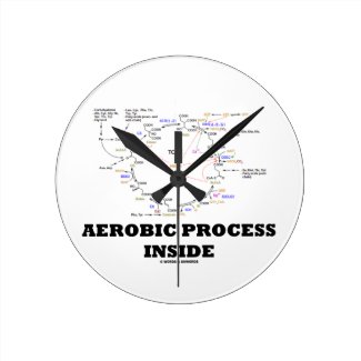 Aerobic Process Inside (Krebs Cycle) Round Clock